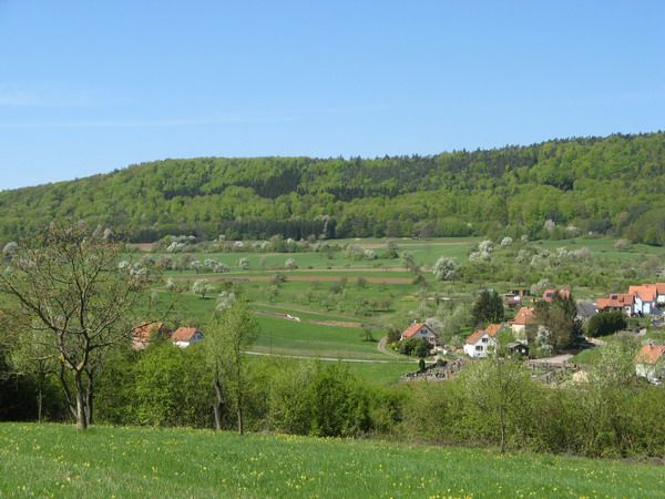 Photo Gte rural Wingen sur lembach Gte nature le rucher en alsace