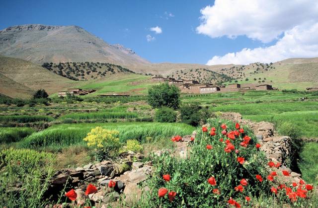 Valle des ait bougmez au maroc, maiso ... 