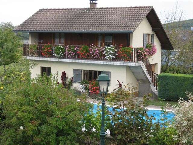 Photo Gte rural Hirtzbach Le ruisseau fleuri