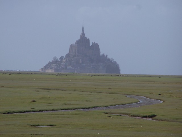 Photo Chambre d'hte Courtils Les oiseaux de la mer