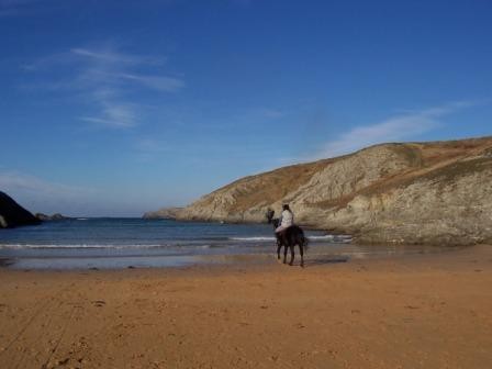 Location belle ile