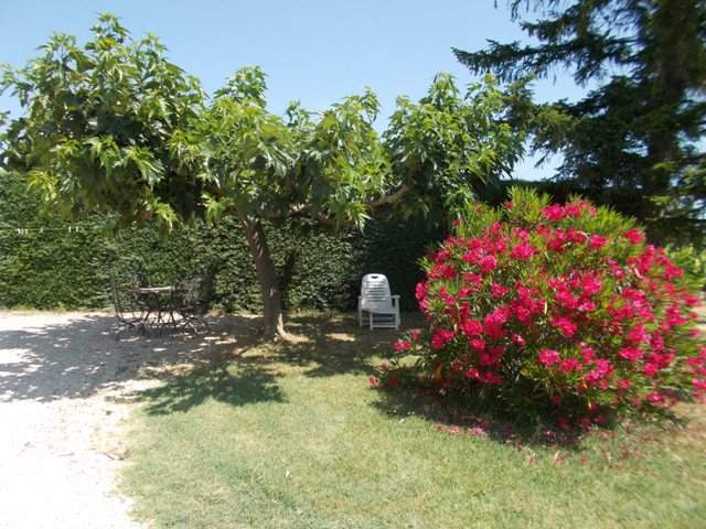 Photo Gte rural Vaison la romaine Vacances  vaison la romaine