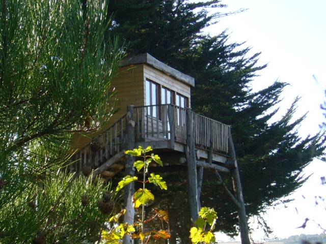  La cabane dans les arbres