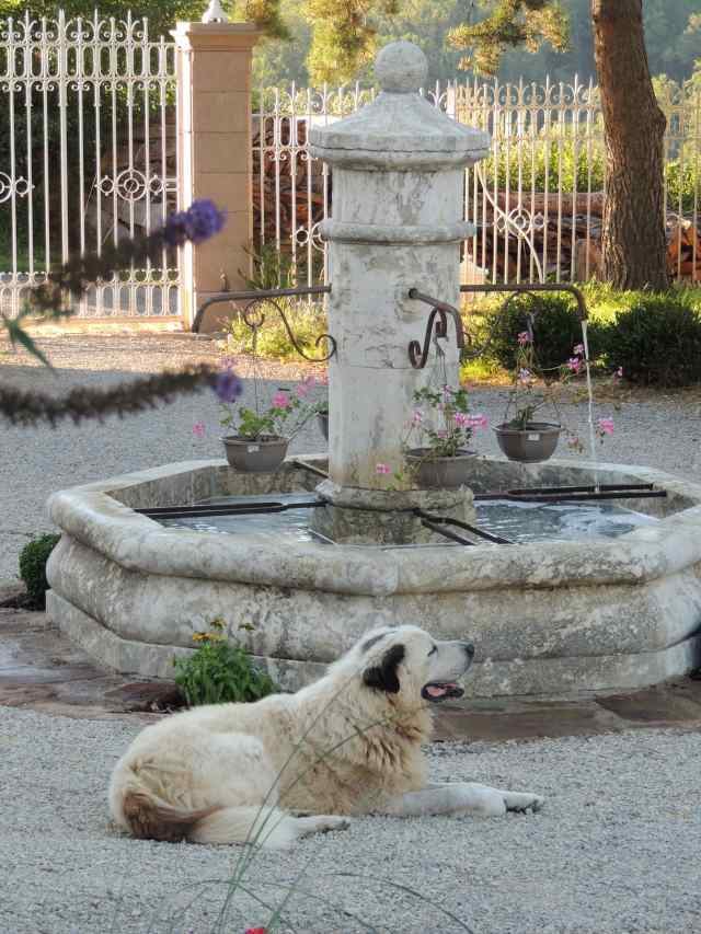 Photo Gte d'tape St cyprien sur dourdou Gites du mas naut