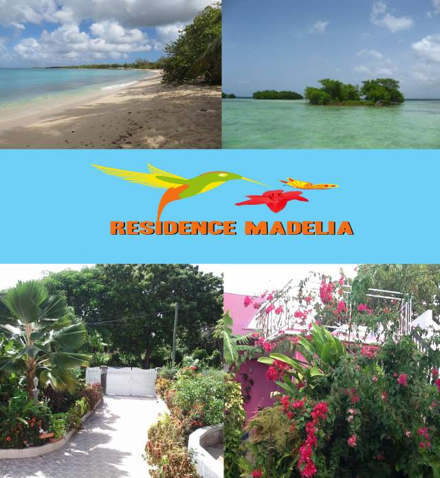  Residence madelia