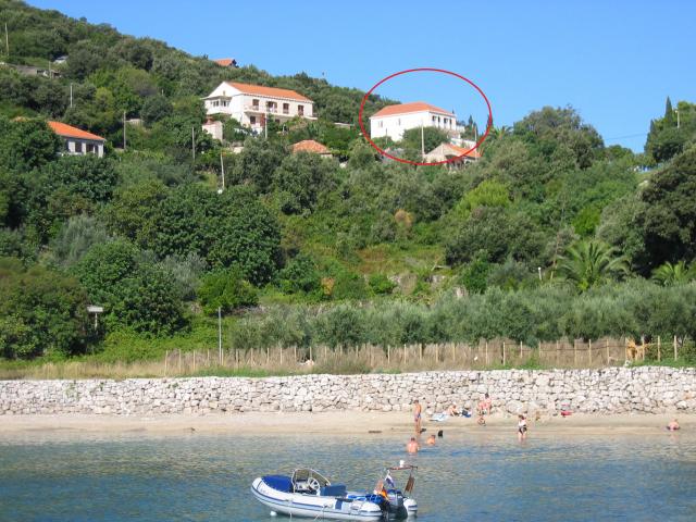 Plongee appartements