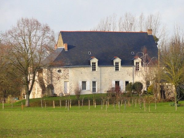 Photo Chambre d'hte Rochefort sur loire Le rateau