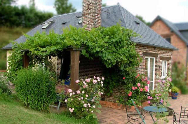 Photo Gte rural Sainte-marguerite-de-viette Les petits matins bleus, les pommiers, ... 