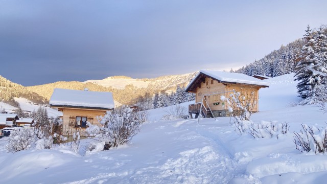 Photo Maison / Villa Notre dame de bellecombe Les chalets d'heidi