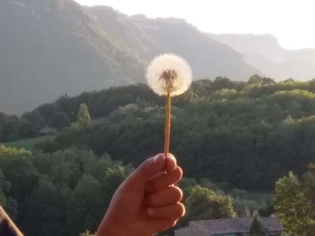 Vue panoramique