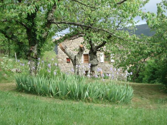Photo Maison / Villa La souche Mon oustaou