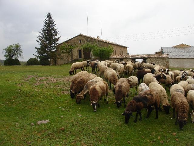 Photo Gte rural Lladurs Casas rurales de la salada