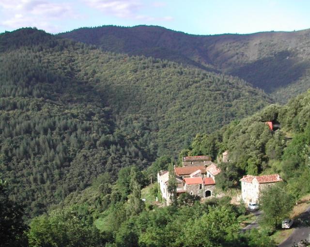 Photo Gte de sjour Vialas Mas la donzelenche