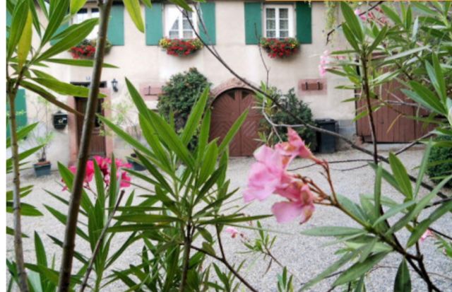 Photo Beblenheim Chambre d'htes chez nicole