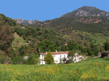 Moulin de la croix