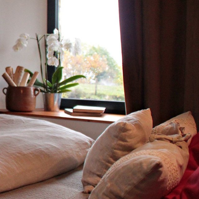 Suite graine de lin