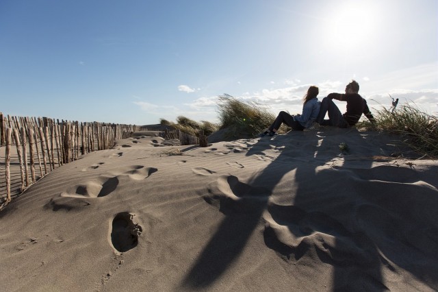 Photo Salin de giraud Un nid en camargue