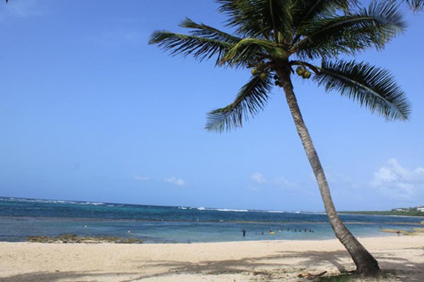 Plage des dauphins montal
