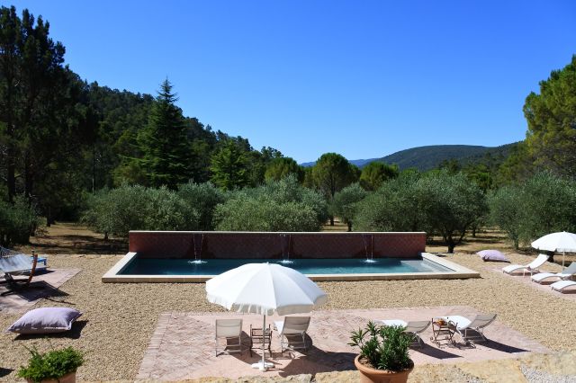 Piscine de la bastide et son oliveraie