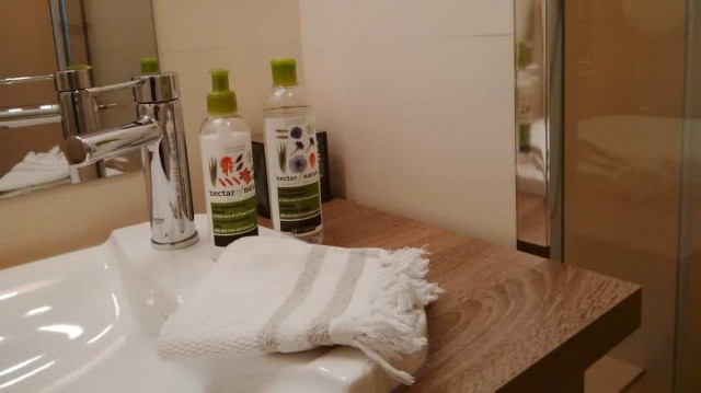 Salle d'eau chambre 1
