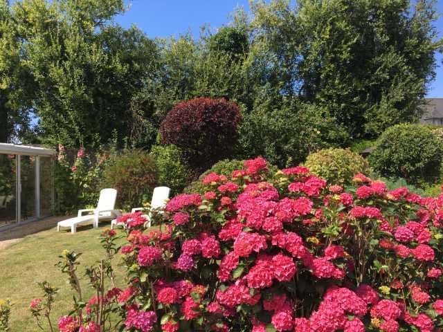 Le jardin