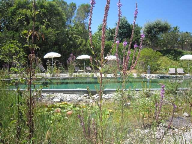 Photo Studio / Appartement Grimaud La villa les hesprides