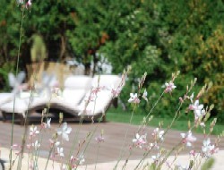Photo Chambre d'hte Tonnerre Le clos des hrons