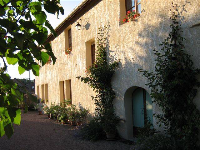  La chamille