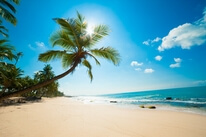 Bed and breakfast, B and B En una isla inslito